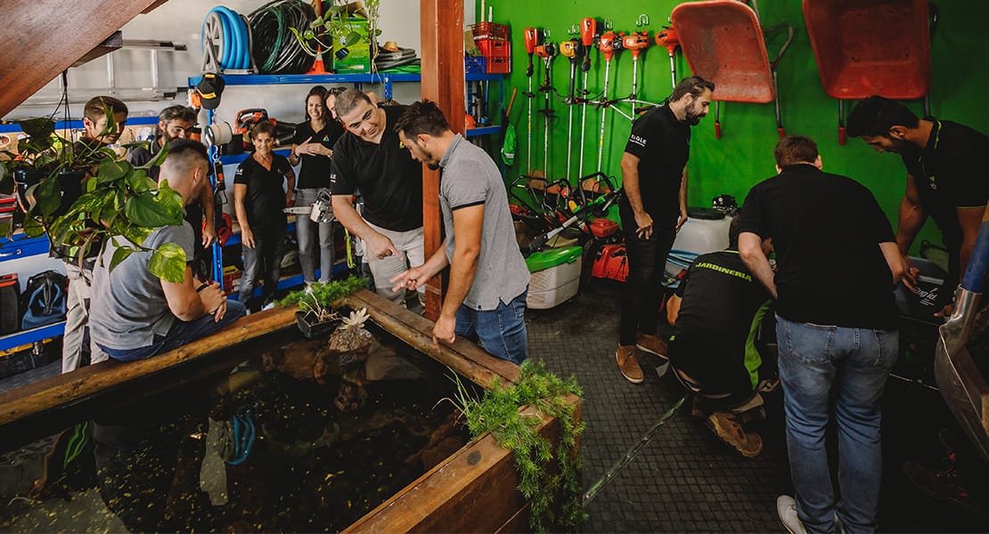 SEO Agency | Web positioning SEO Agency | SEO